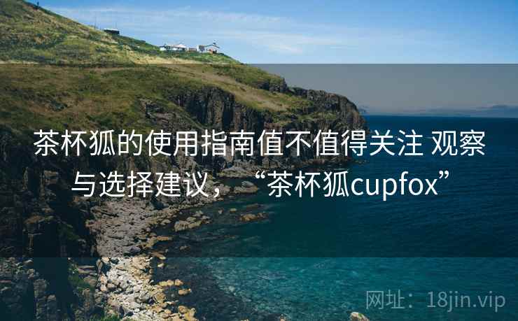 茶杯狐的使用指南值不值得关注 观察与选择建议，“茶杯狐cupfox”