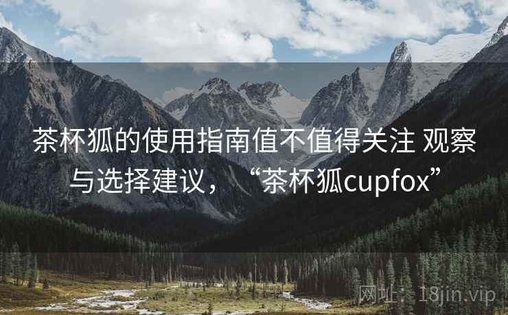 茶杯狐的使用指南值不值得关注 观察与选择建议，“茶杯狐cupfox”