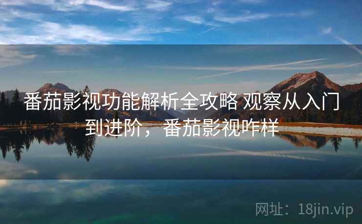 番茄影视功能解析全攻略 观察从入门到进阶，番茄影视咋样