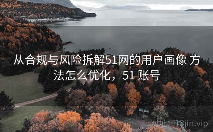 从合规与风险拆解51网的用户画像 方法怎么优化，51 账号