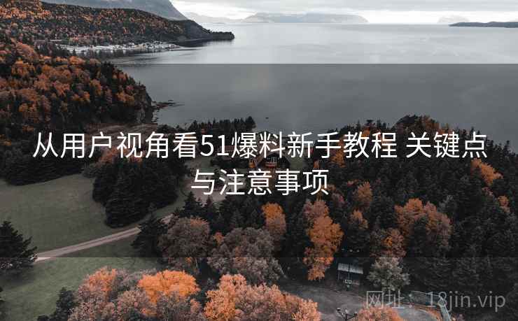 从用户视角看51爆料新手教程 关键点与注意事项 从用户视角看51爆料新手教程 关键点与注意事项