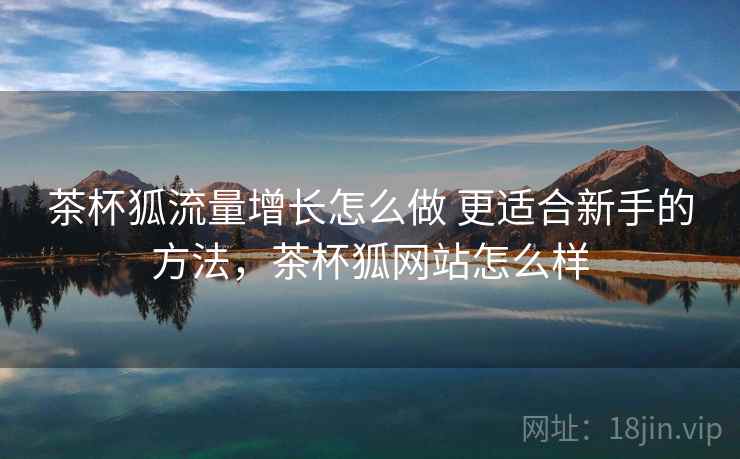 茶杯狐流量增长怎么做 更适合新手的方法，茶杯狐网站怎么样