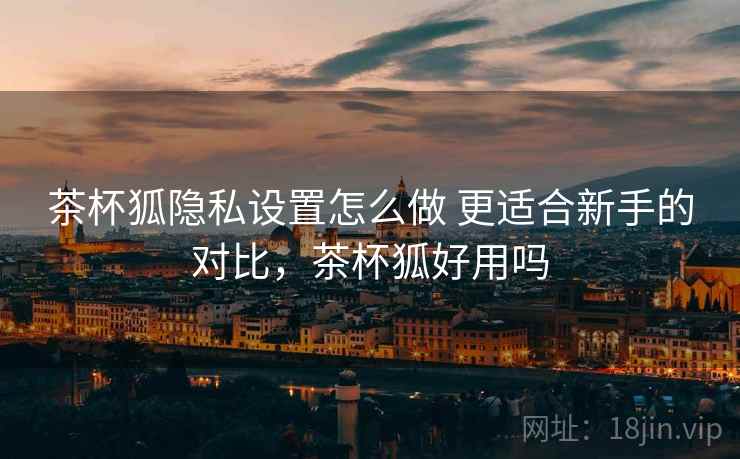 茶杯狐隐私设置怎么做 更适合新手的对比，茶杯狐好用吗