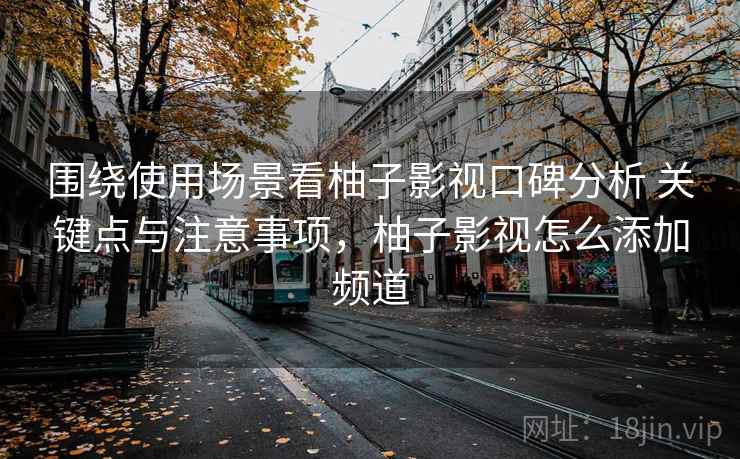 围绕使用场景看柚子影视口碑分析 关键点与注意事项，柚子影视怎么添加频道